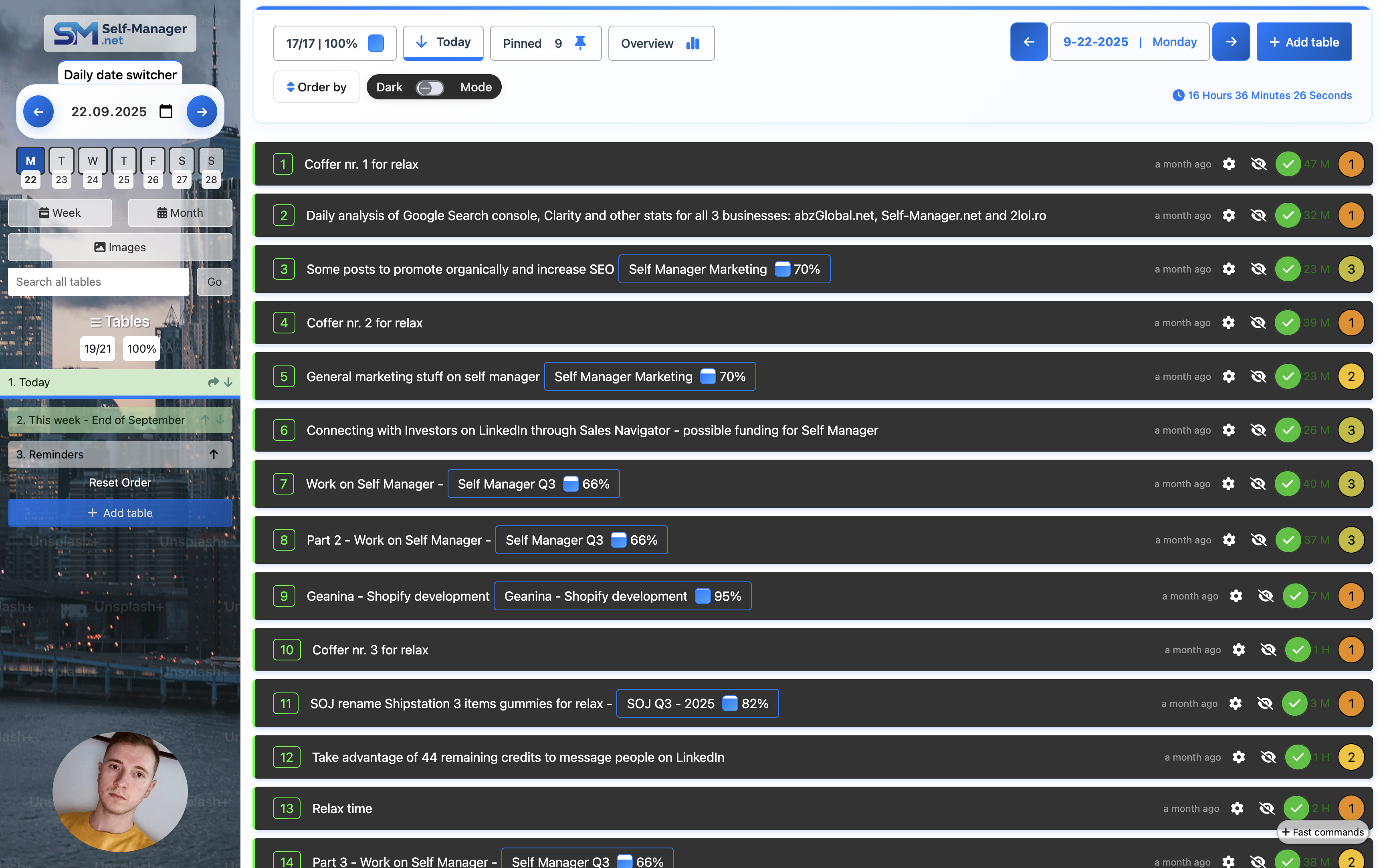 Self-Manager.net project management view
